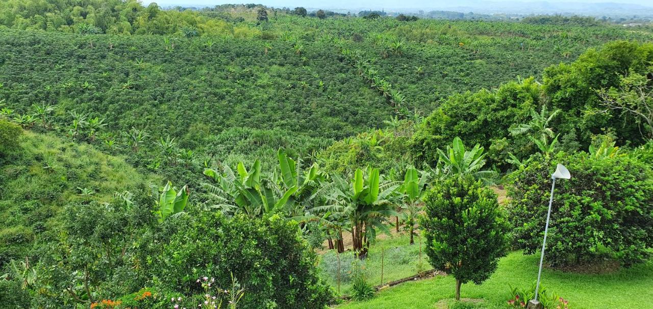 Finca Bellavista بيريرا المظهر الخارجي الصورة